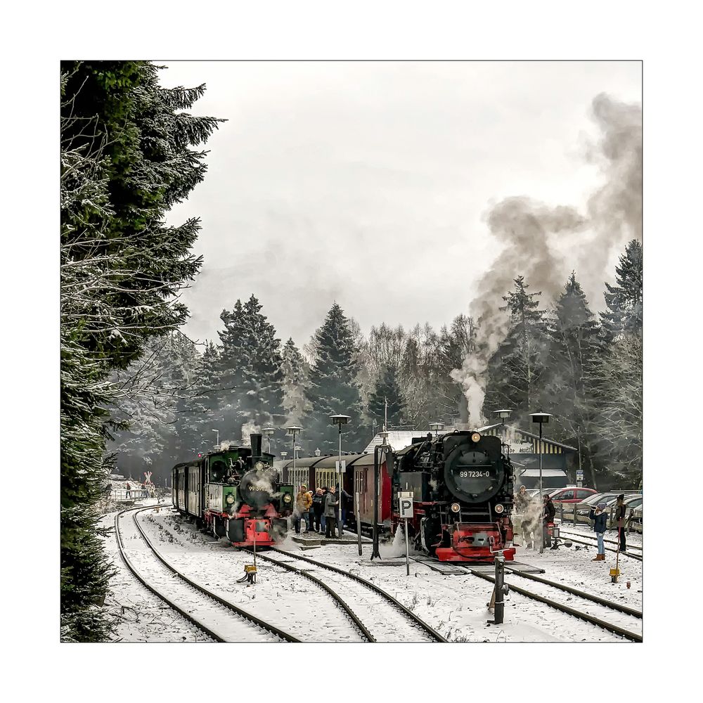 Harzimpressionen " Auf den Spuren der Harzer Schmalspurbahn........"