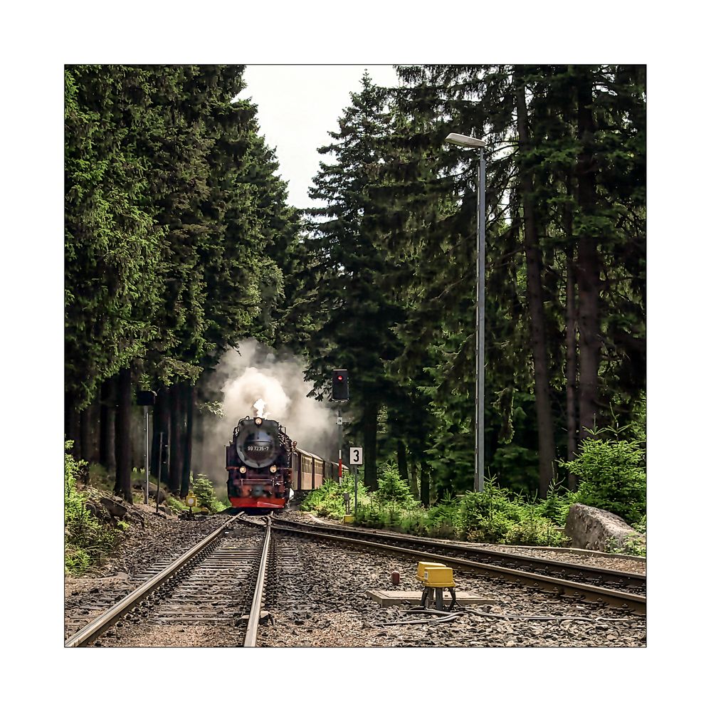 Harzimpressionen " Auf den Spuren der Harzer Schmalspurbahn ..."