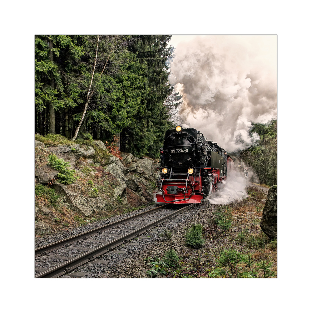 Harzimpressionen " Auf den Spuren der Harzer Schmalspurbahn******..."