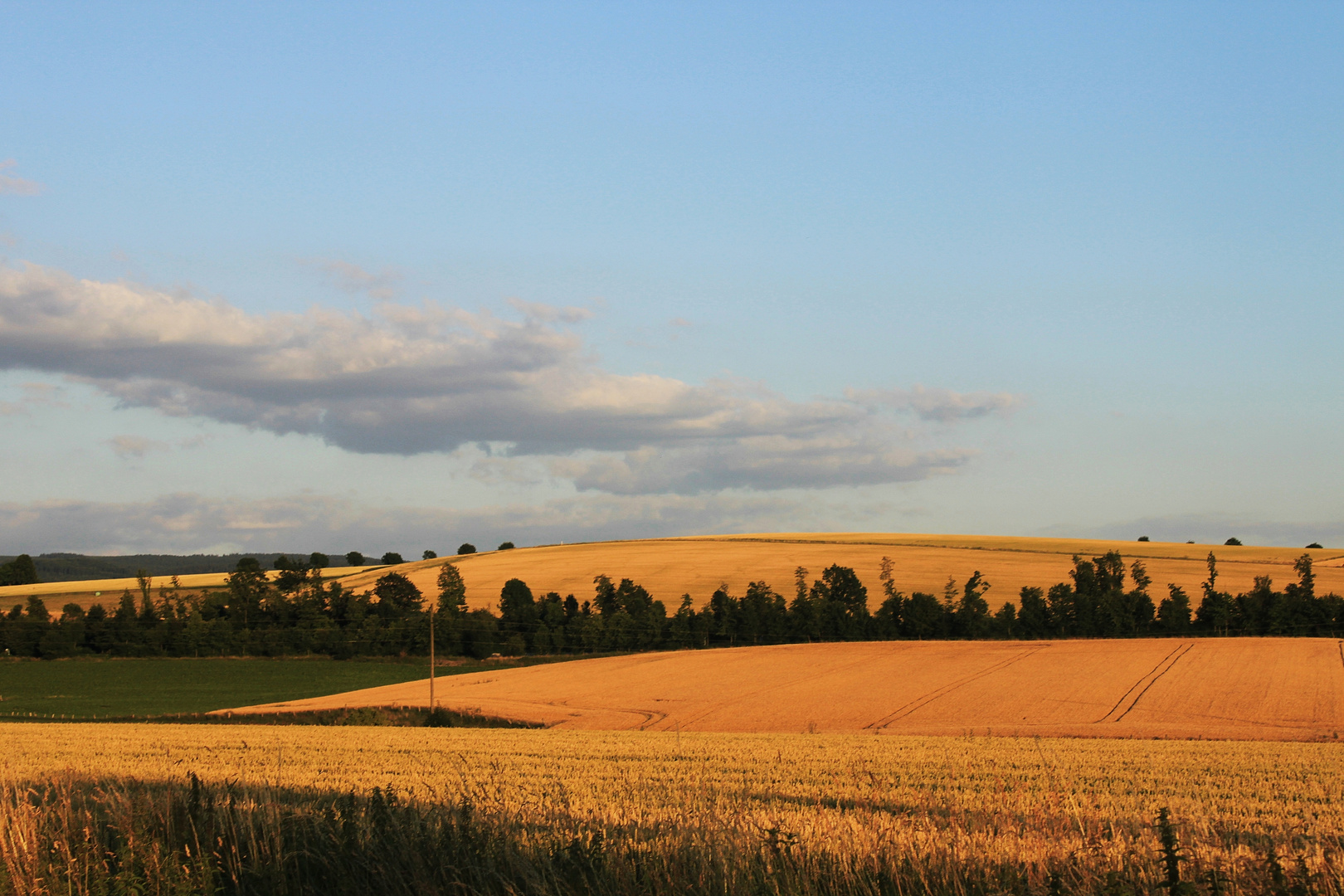 Harzlandschaft .....