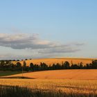 Harzlandschaft .....