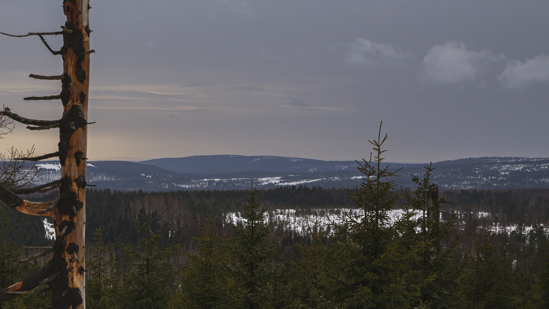 Harzlandschaft