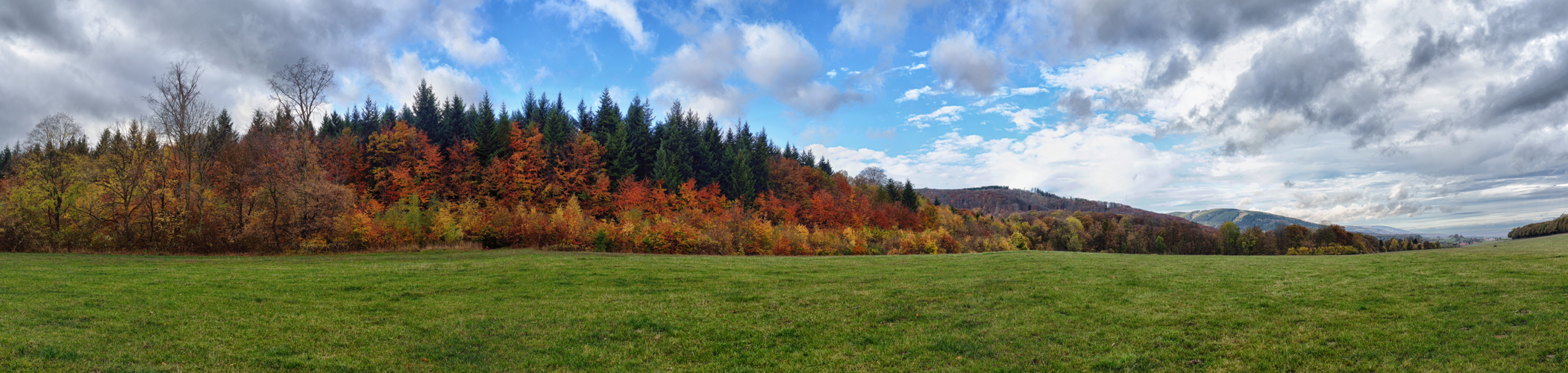 Harzlandschaft