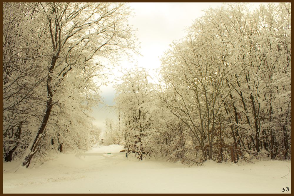 HArzlandschaft