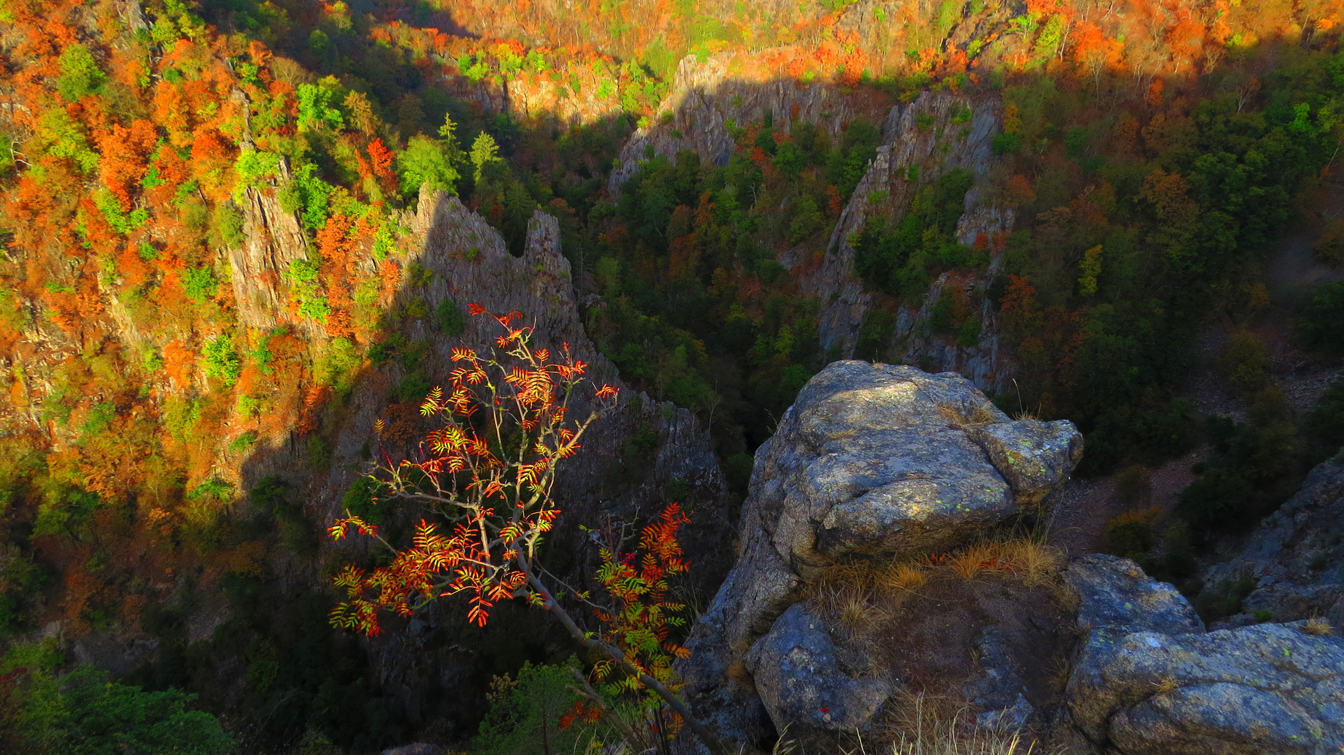 Harzlandschaft im Herbst