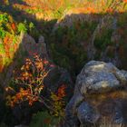 Harzlandschaft im Herbst