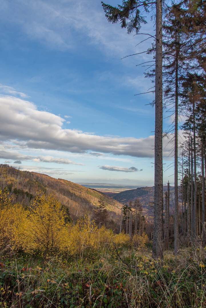 Harzlandschaft im Herbst