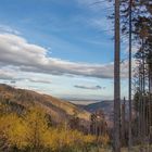 Harzlandschaft im Herbst