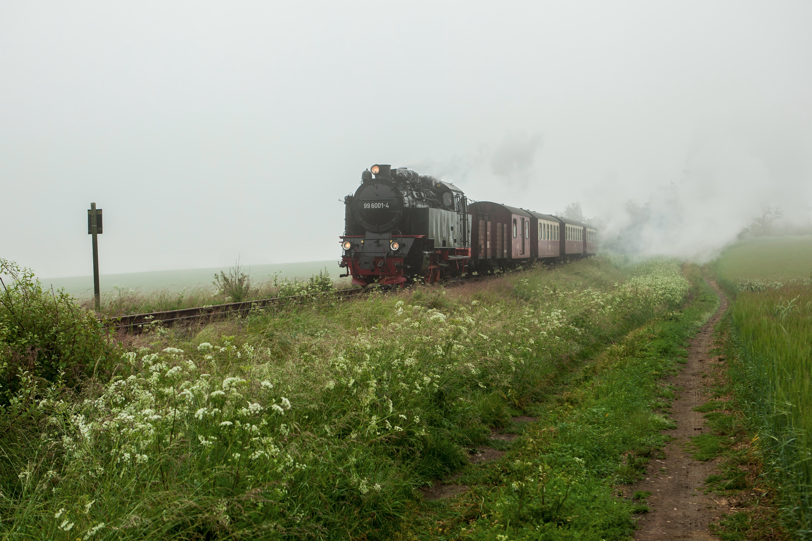 HarzNebel