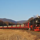 Harzquerbahn auf dem Weg von Ilfeld nach Niedersachswerfen