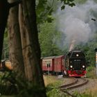 Harzquerbahn . Ausfahrt Eisfelder Talmühle einmal ganz anders