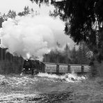 Harzquerbahn, bei Benneckenstein