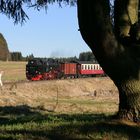 Harzquerbahn . Benneckenstein