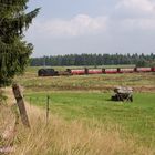 Harzquerbahn - Die Hochebene