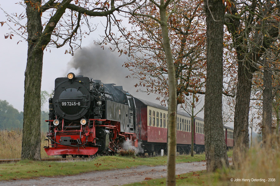 Harzquerbahn . Die Kastanien sind reif