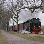 Harzquerbahn . Kastanienallee