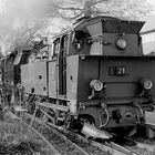 Harzquerbahn Nr.21  Wernigerode April 1993