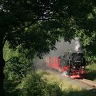 Harzquerbahn . So sieht der Sommer aus