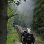 Harzquerbahn . Steinerne Ausfahrt