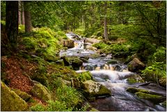 Harzreise I - Im Bodetal