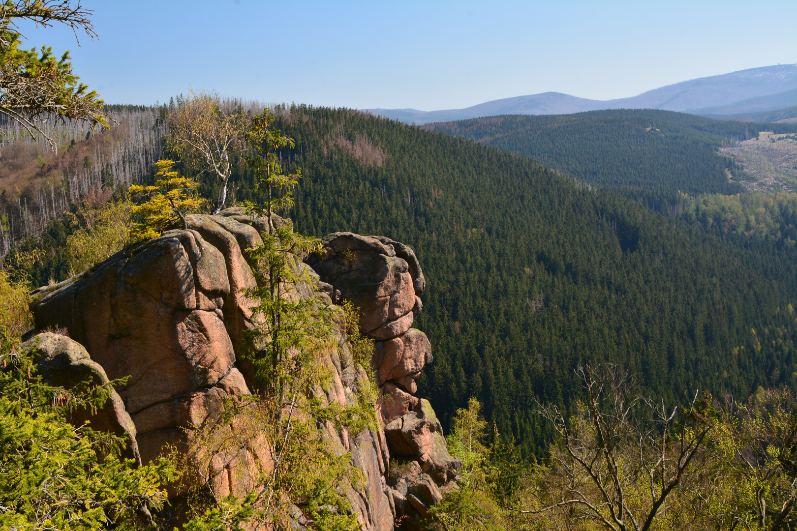 Harzwanderung