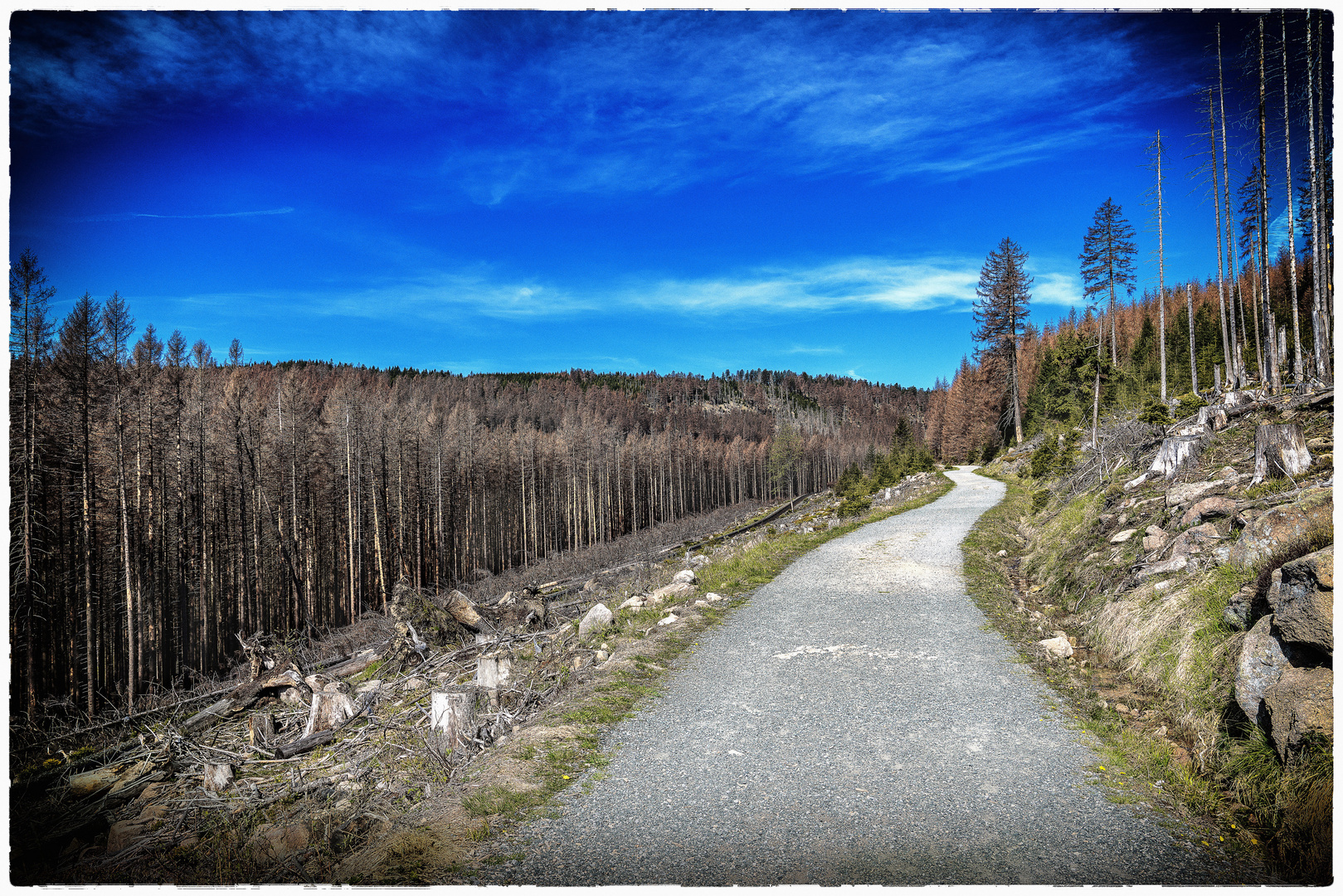 Harzwanderweg