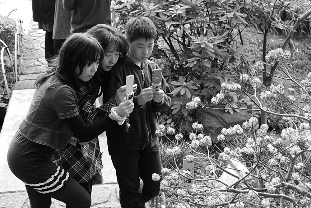 Hase - Dera temple