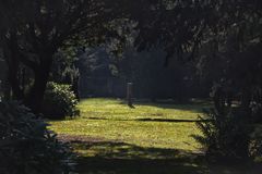 Hasefriedhof OS - Herbstlicht