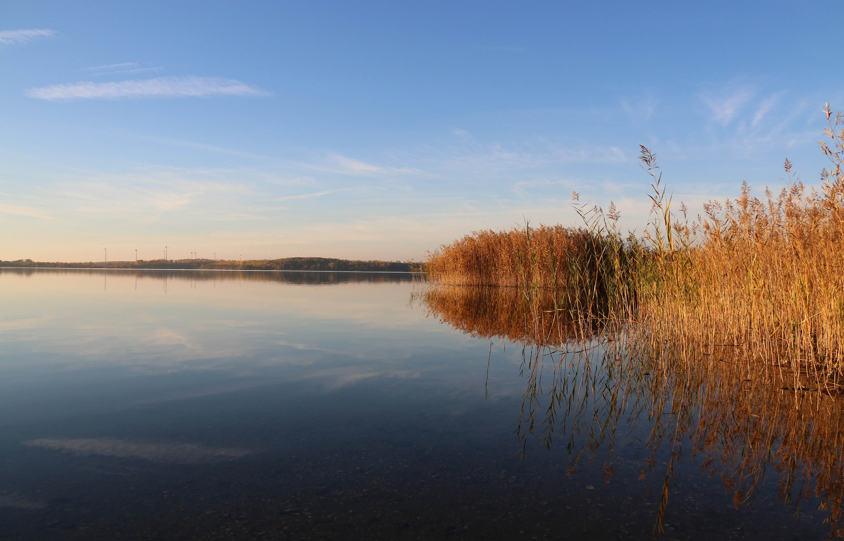 Haselbacher See