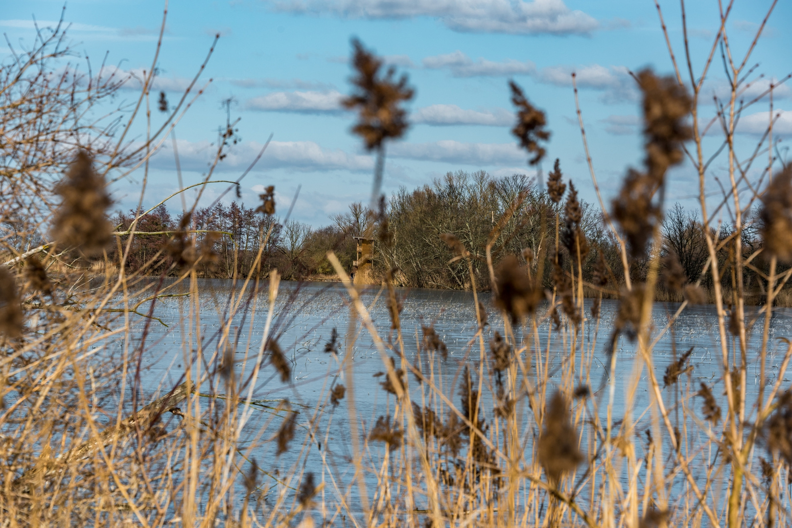 Haselbacher Teiche 5 Foto & Bild landschaft, lebensräume