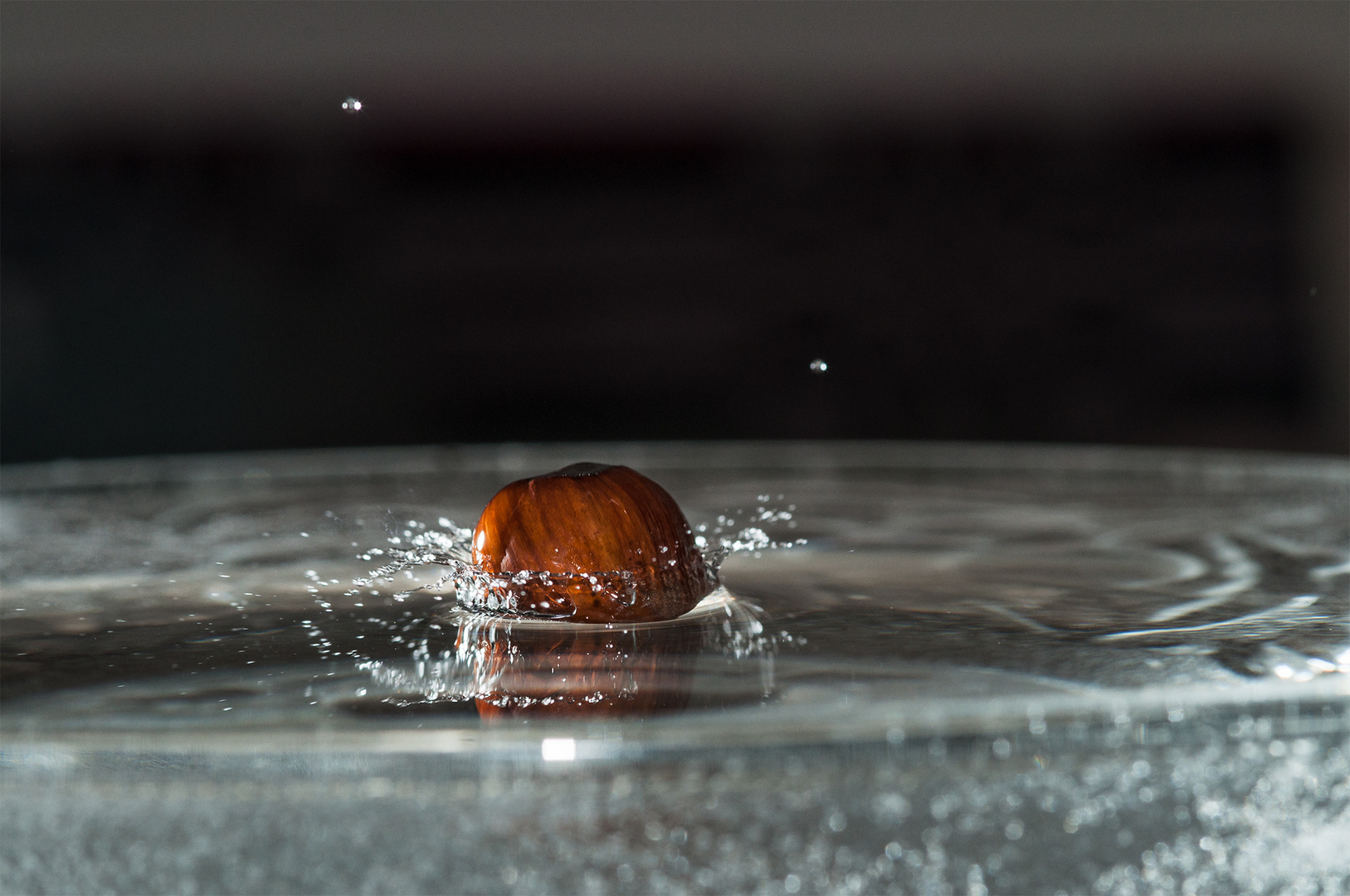 Haselnuss, kurz nach dem Einschlag ins Wasser