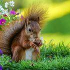 Haselnussfrühstück im Grünen