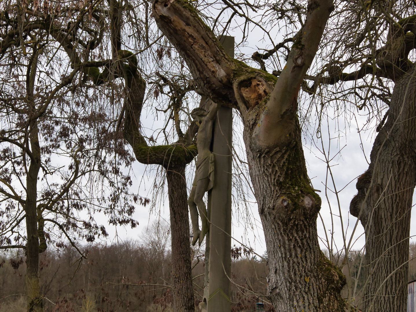 Haselstein Osterspaziergang