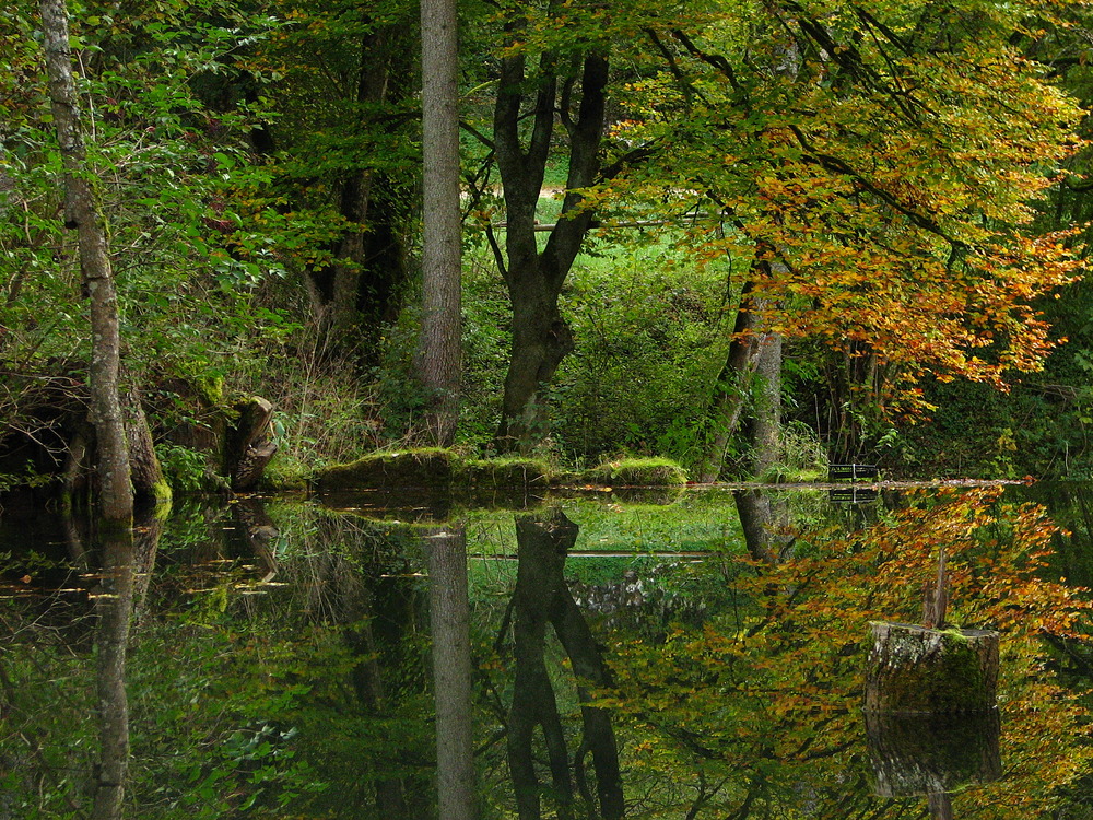 Hasenbach Foto & Bild jahreszeiten, herbst, schwäbische alb Bilder