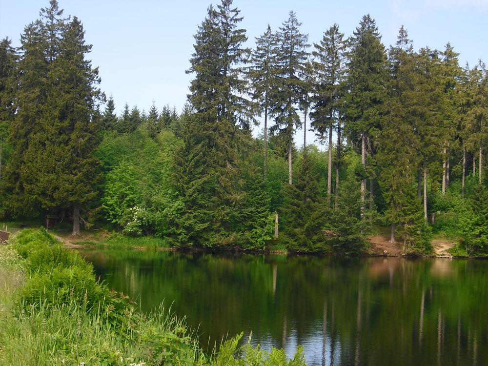 Hasenbacher Teich Foto & Bild archiv, endlich sommer, archiv 2011