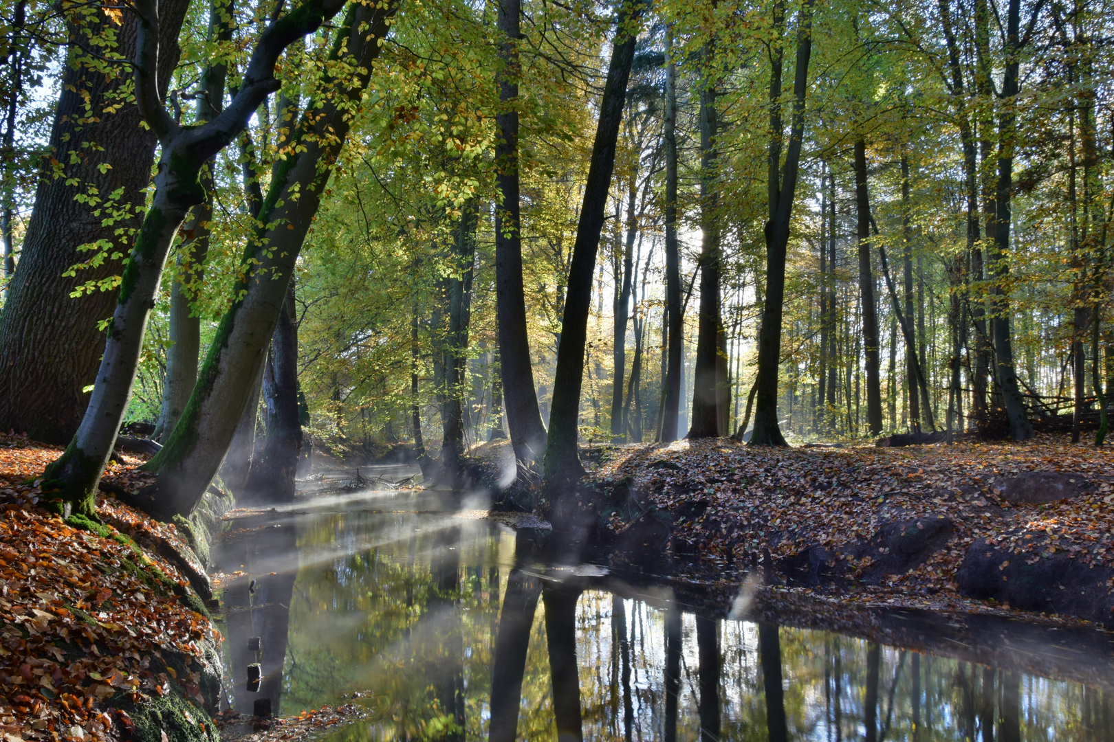 Hasenburger Mühlenbach