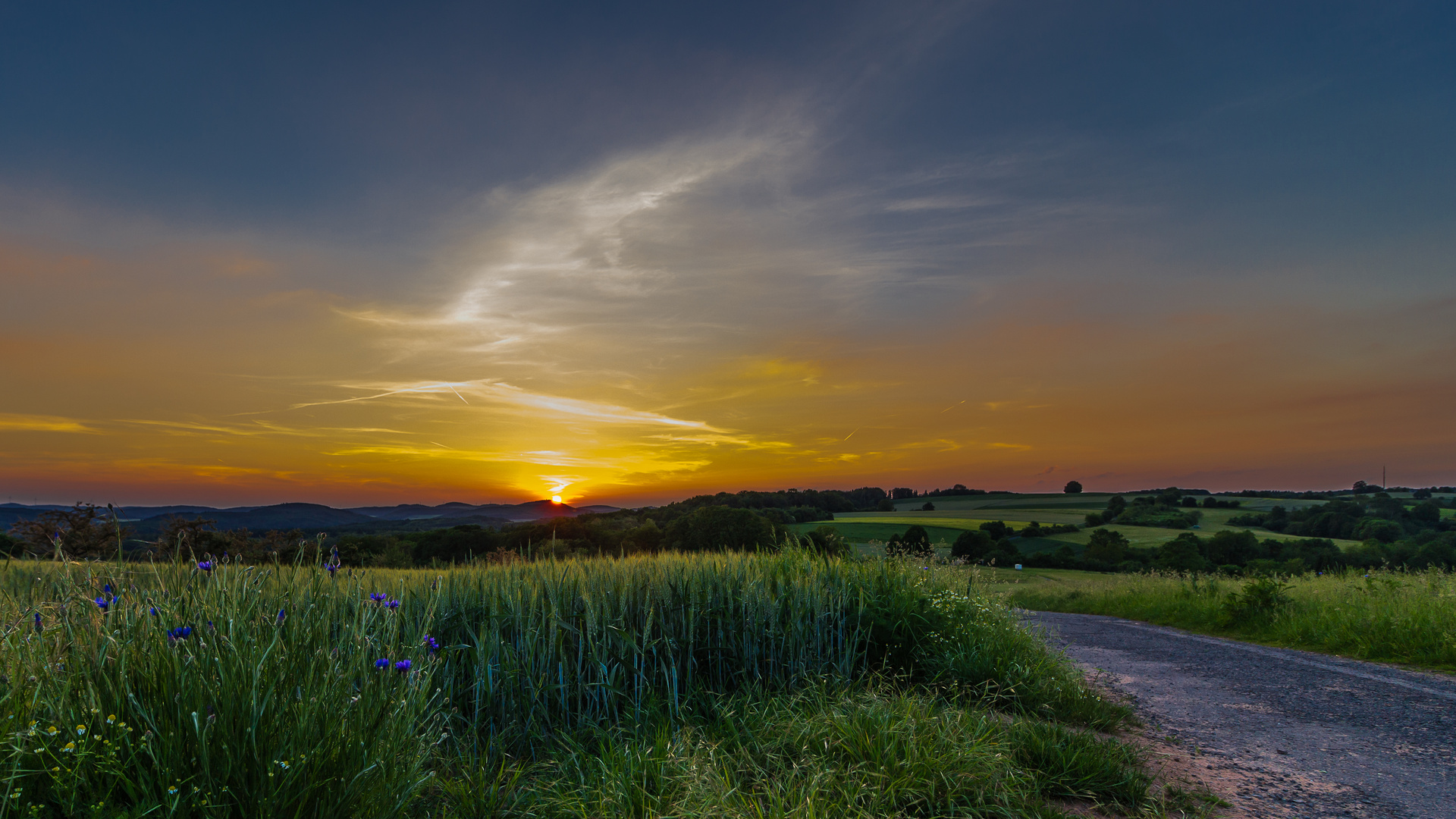 Hasenkopf - Blick nach Westen...