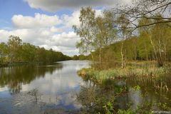 Hasenmoor 1