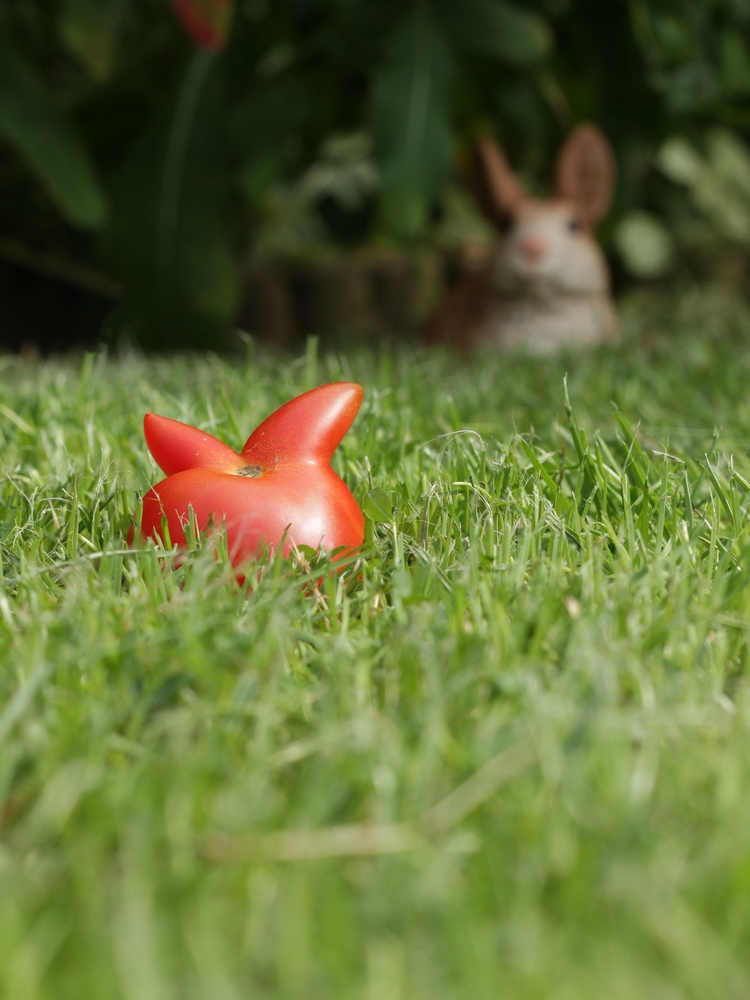 Hasentreffen zu Ostern