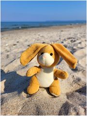 Hasi an der Ostsee...
