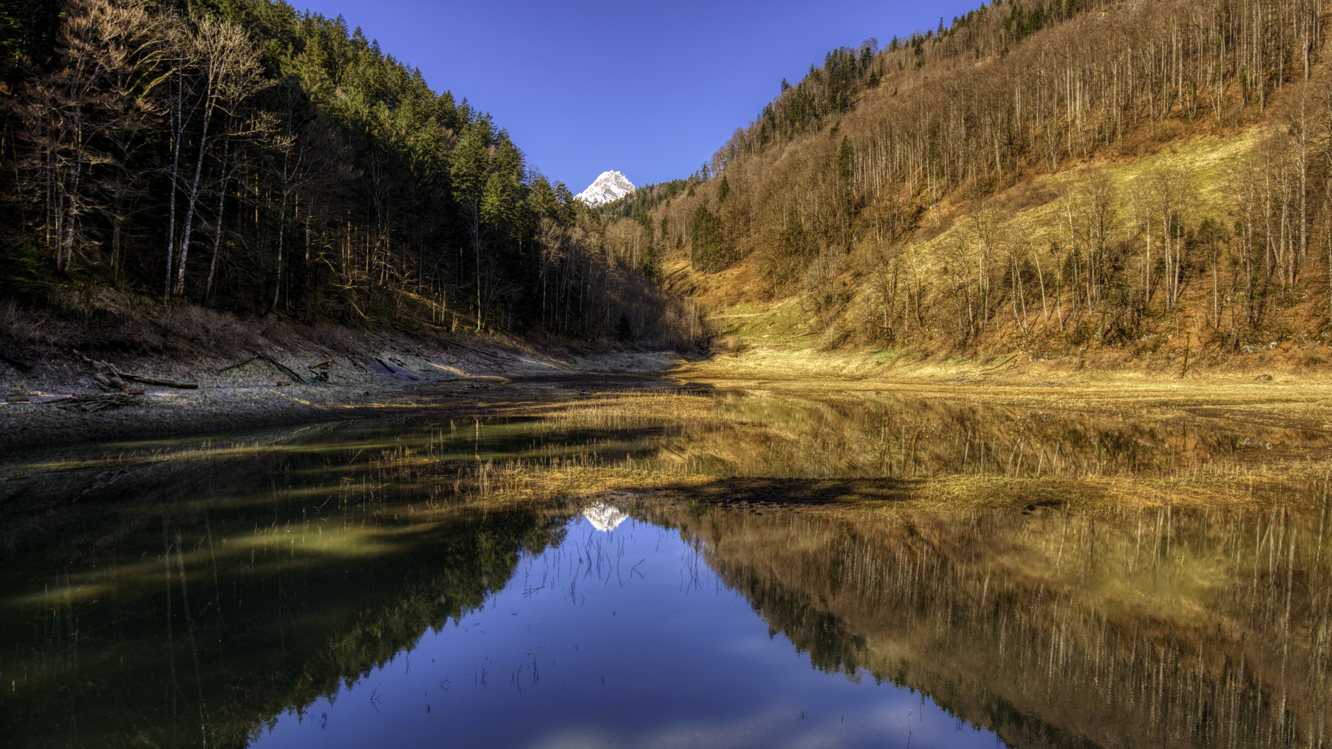 Haslensee