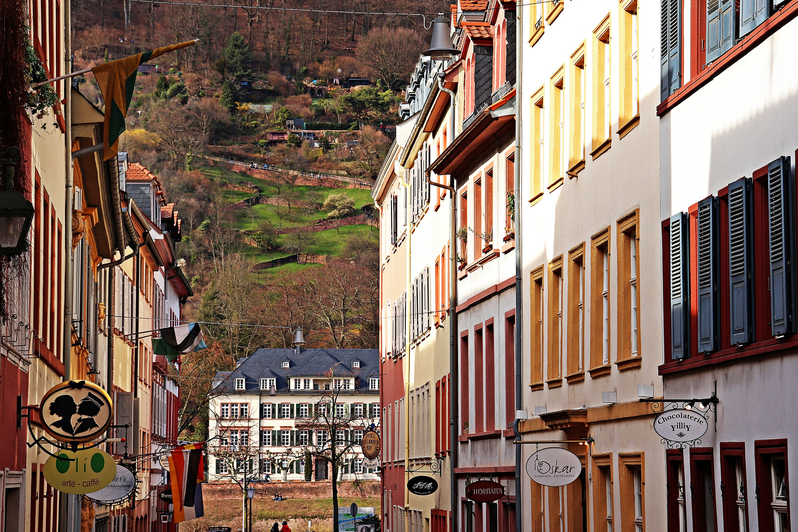 Haspelgasse Heidelberg