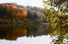 Hasper Talsperre im Herbst