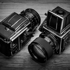 Hasselblad - Brothers