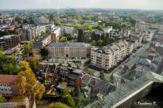 Hasselt - Blick auf die Stadt -2