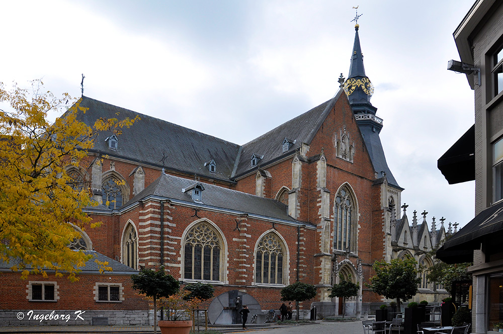 Hasselt - St. Quintinius-Kathedrale