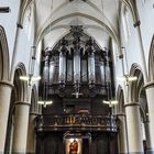 Hasselt - St. Quintinius-Kathedrale - Orgel