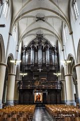 Hasselt - St. Quintinius-Kathedrale - Orgel