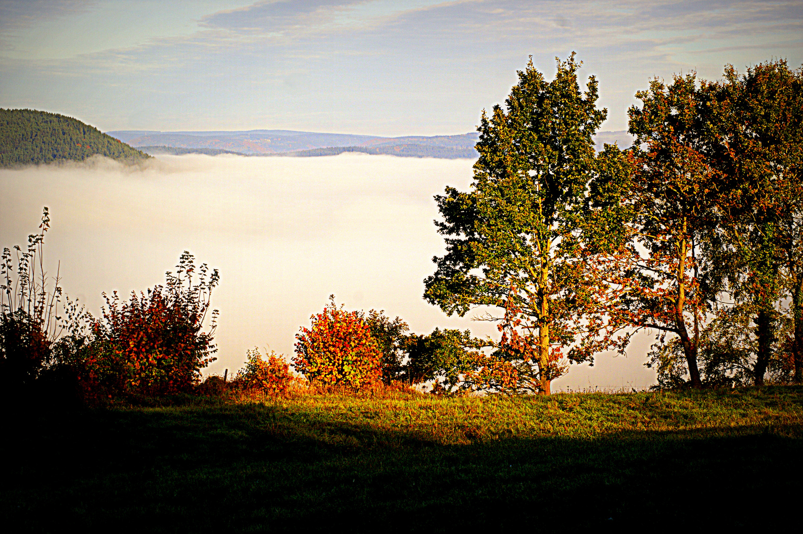 Haßlachtal im Morgen-Nebel