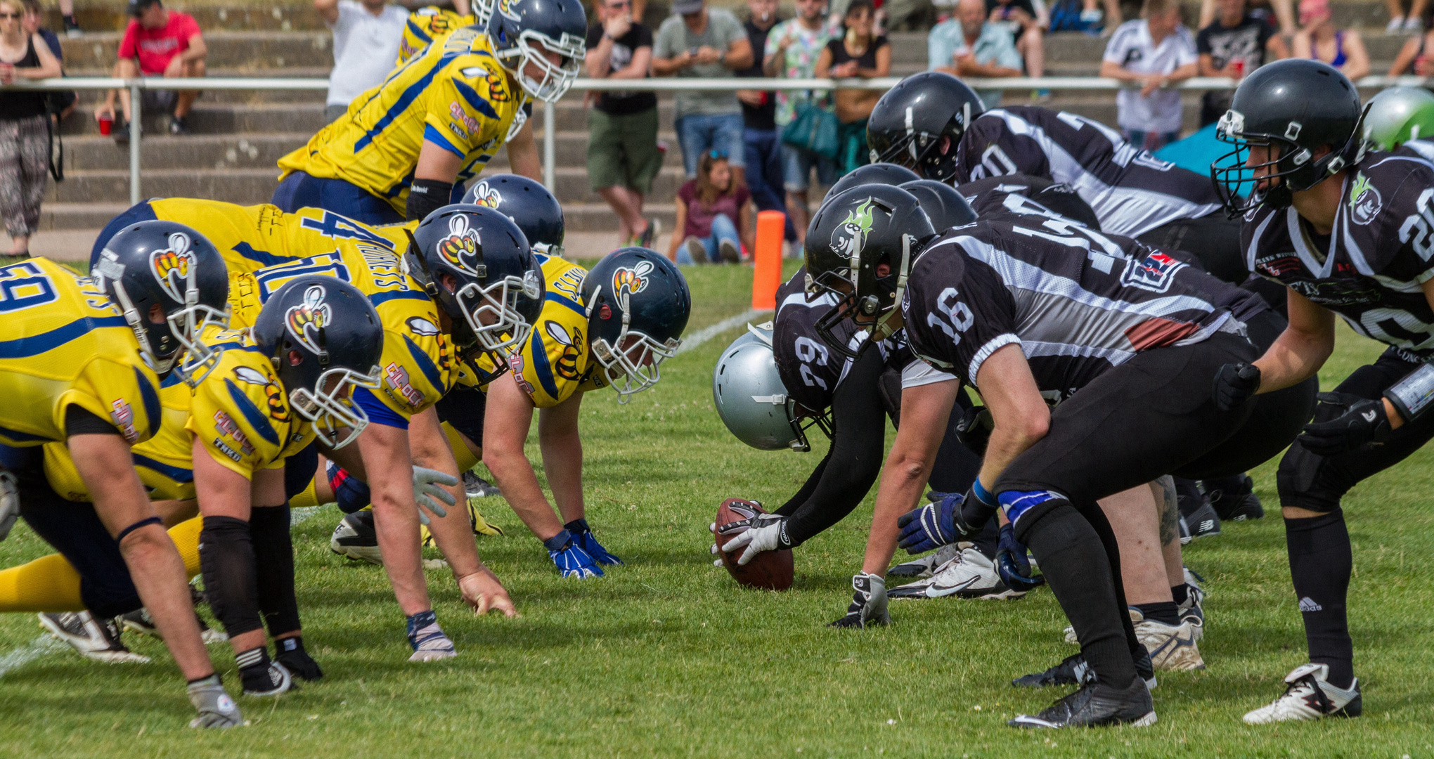 Hassloch 8-Balls vers. Hanau Hornets